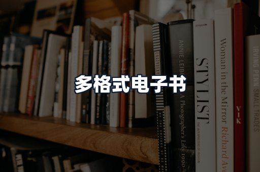 多格式电子书